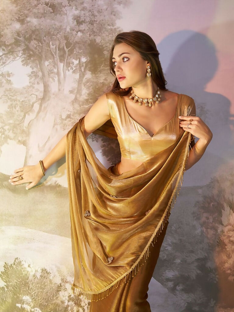 Brown Burberry Organza Solid Fancy Designer Saree - Nafisa