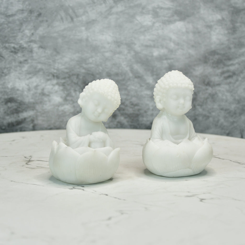 Sowpeace Baby Monk Set