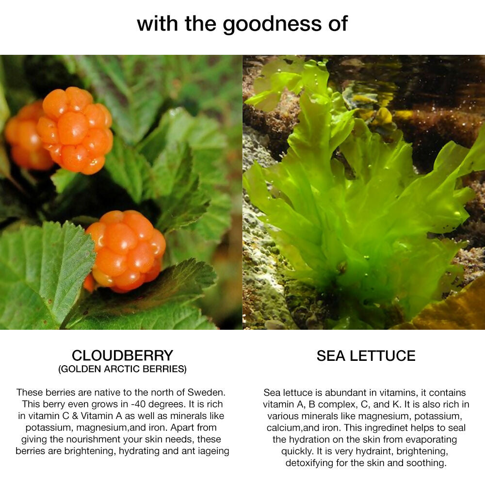 Skog Cloudberry Sea Lettuce Hydrating Cream