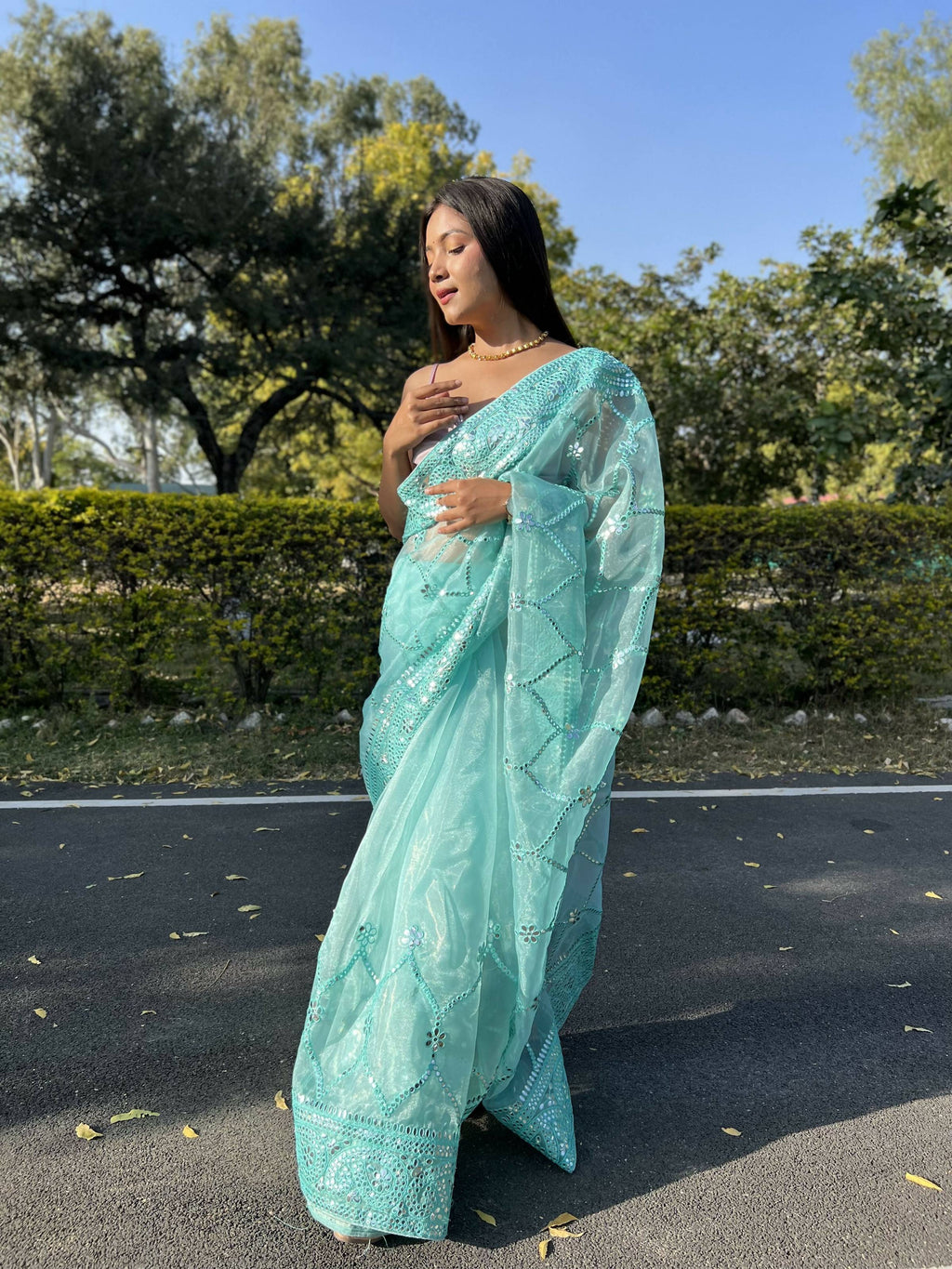 Vamsee Naina Blue Organza Saree