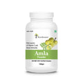Four Seasons Amla Powder