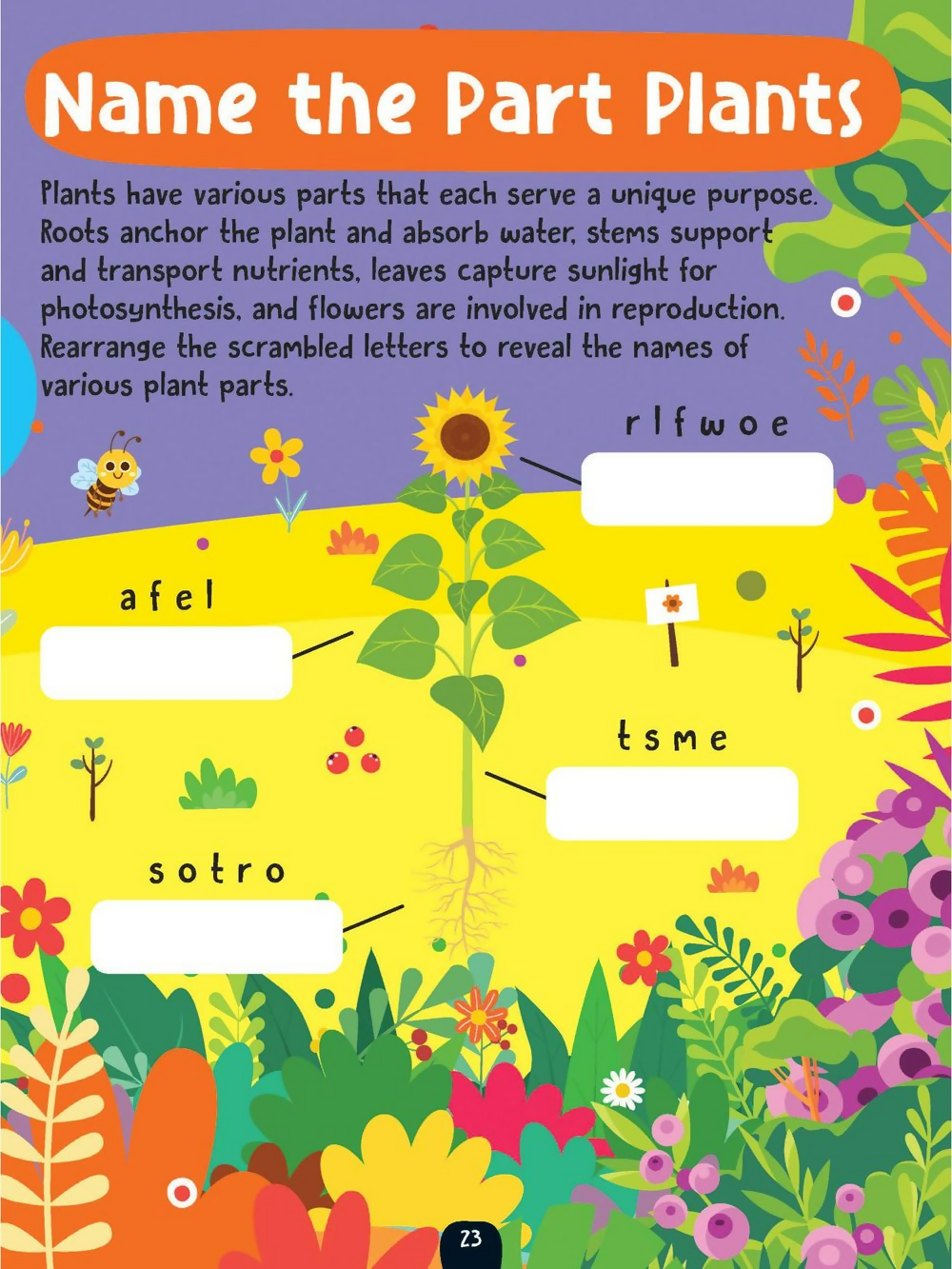 Dreamland Publications The Little Scientists Activity Book For Kids