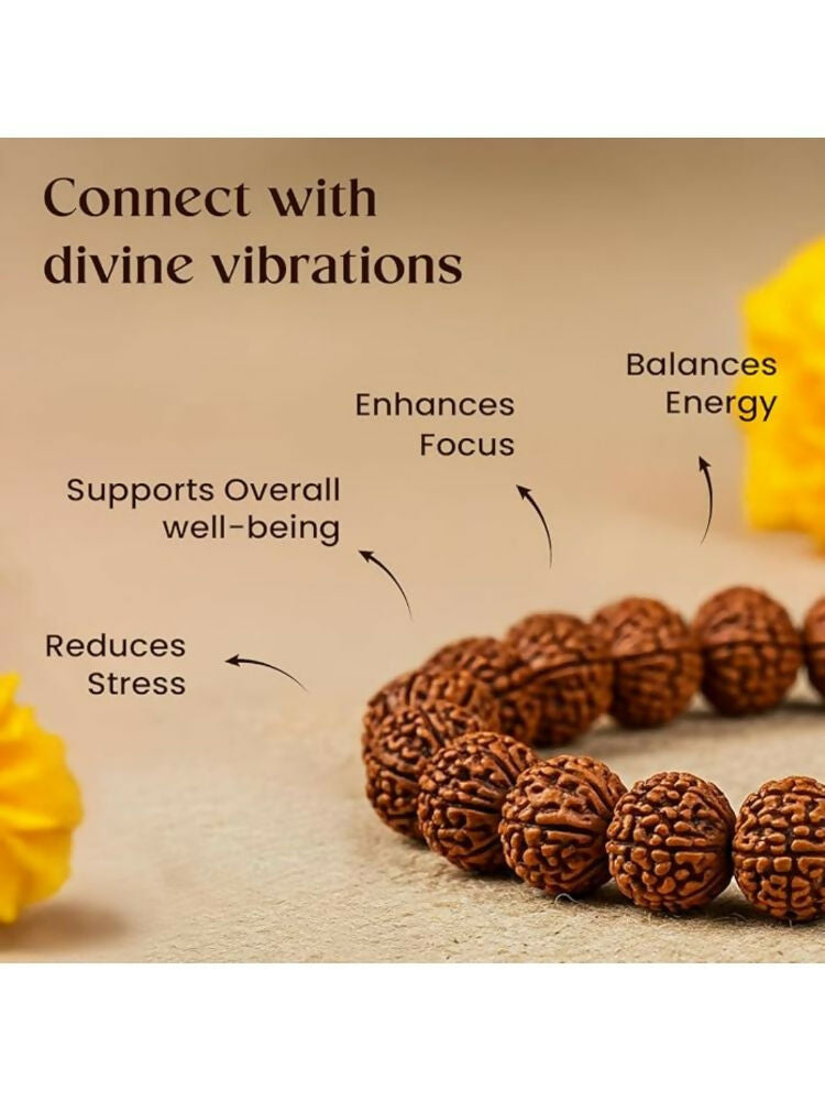 NVR 5 Mukhi Rudraksha Men & Women Bracelet