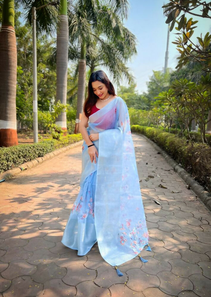Vamsee Mehar Sky Organza Saree