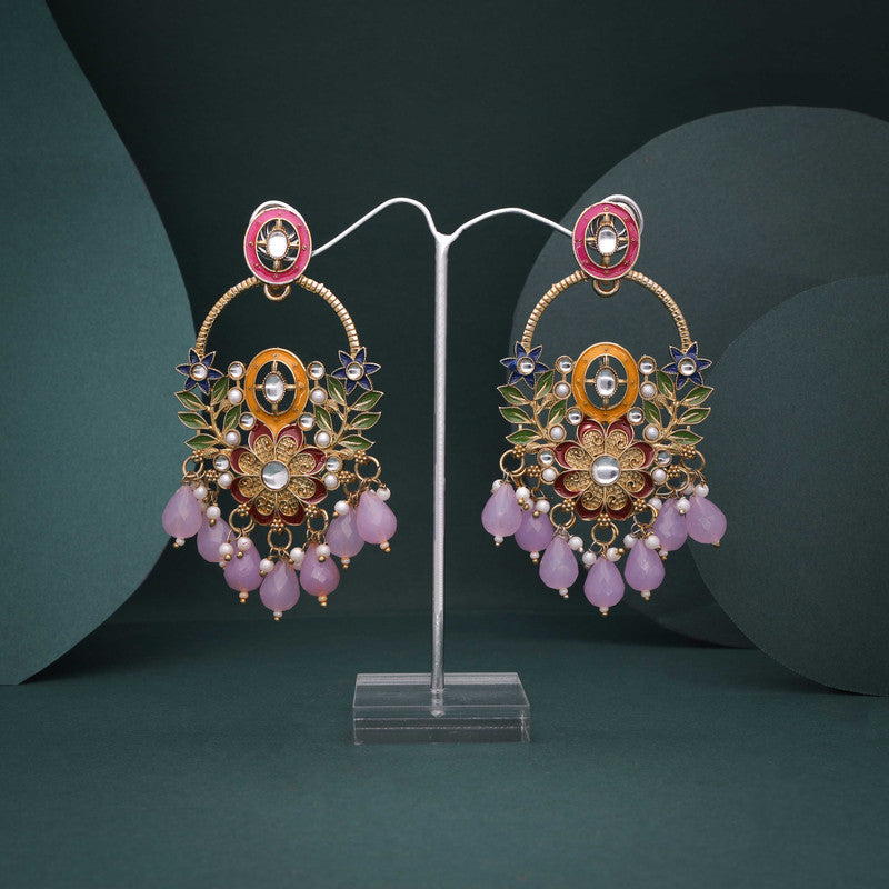 Tehzeeb Creations Purple Beads Multi Colour Earrings