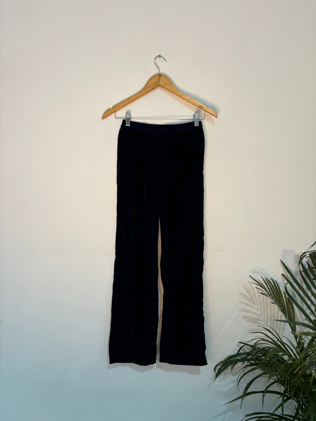 trueBrowns Blue Velvet Co-ord Set