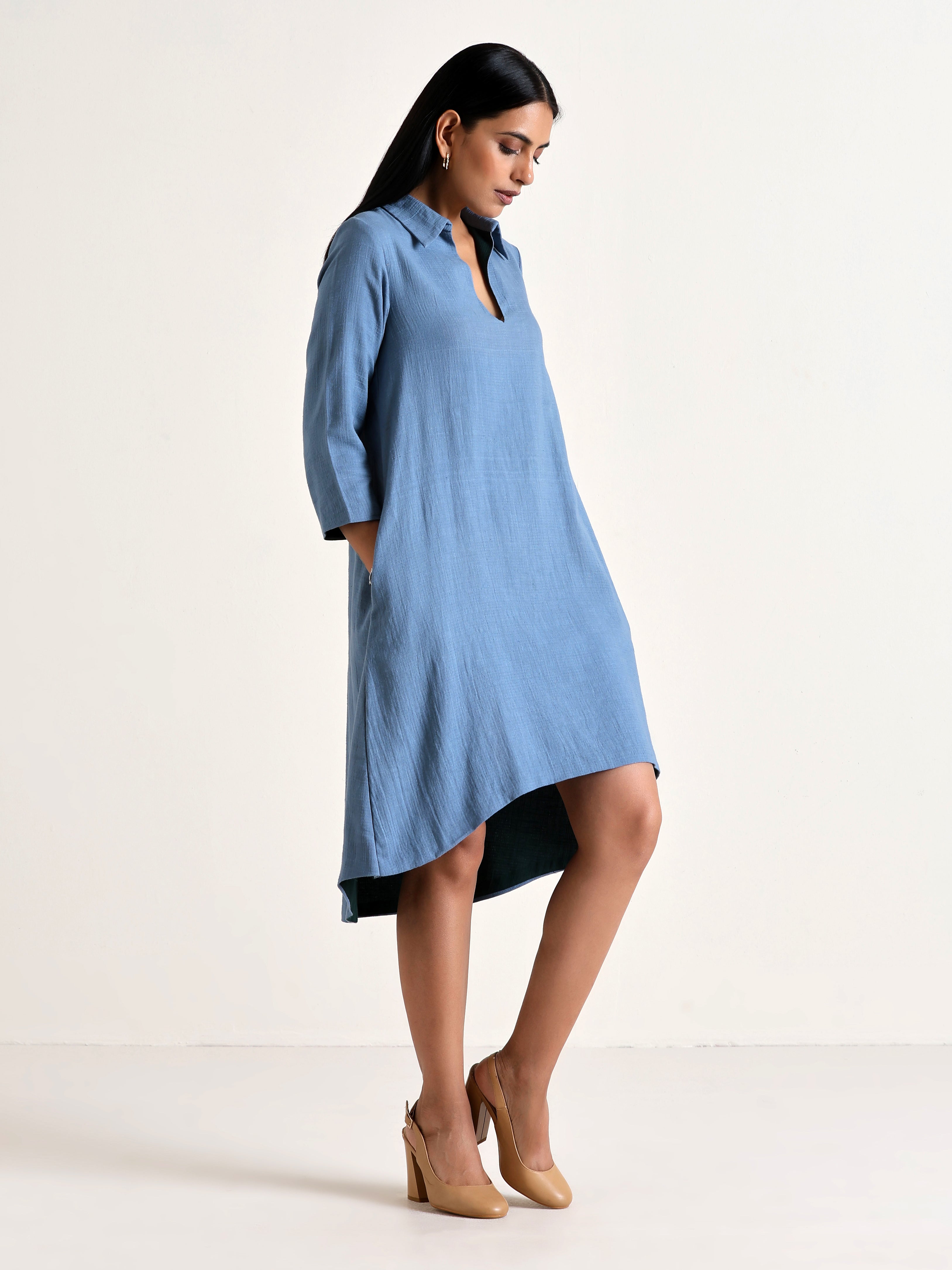 trueBrowns Light Blue Short Collared Dress