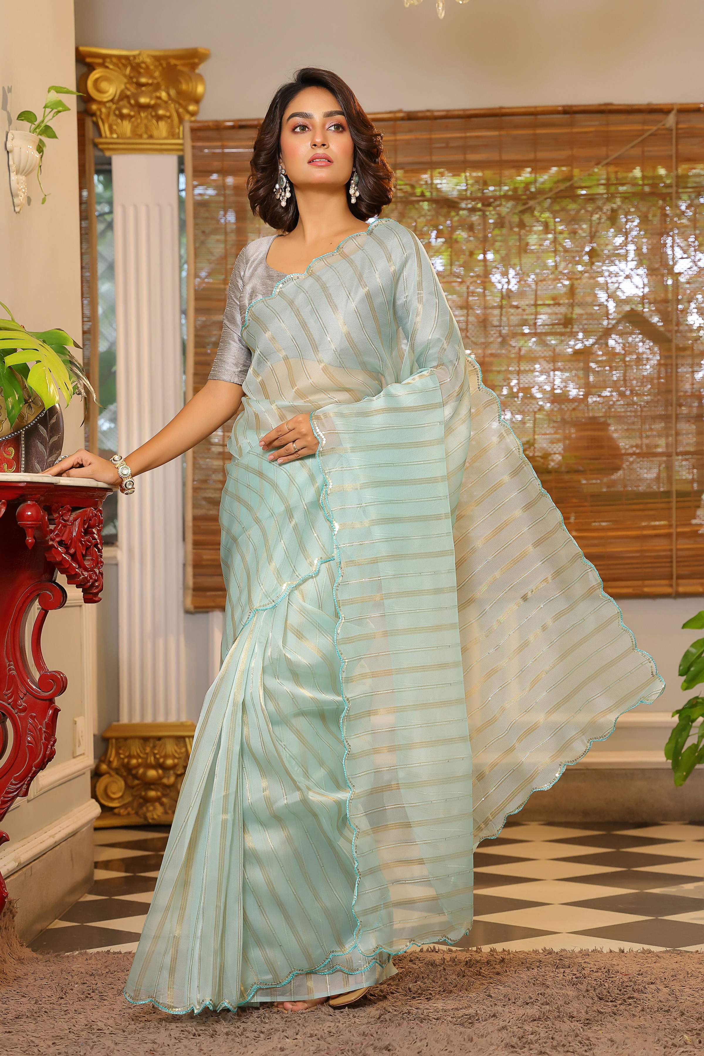 Vamsee Vijaytara Sky Organza Saree