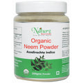Naturz Ayurveda Organic Neem Powder