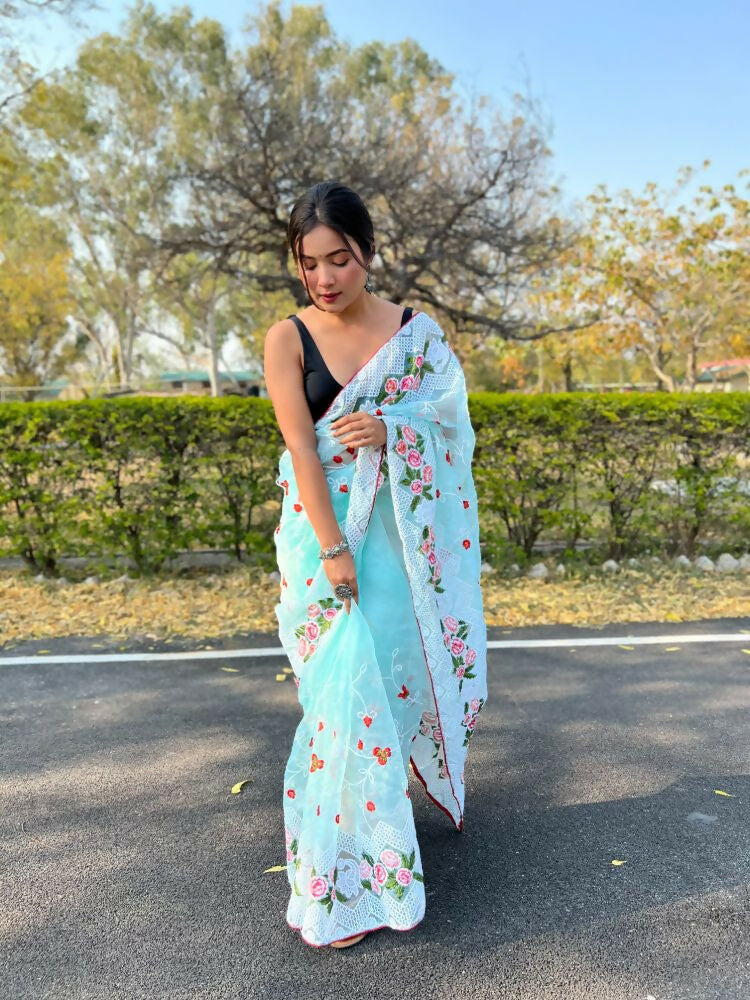 Vamsee Kamaljaal Sky Organza Saree