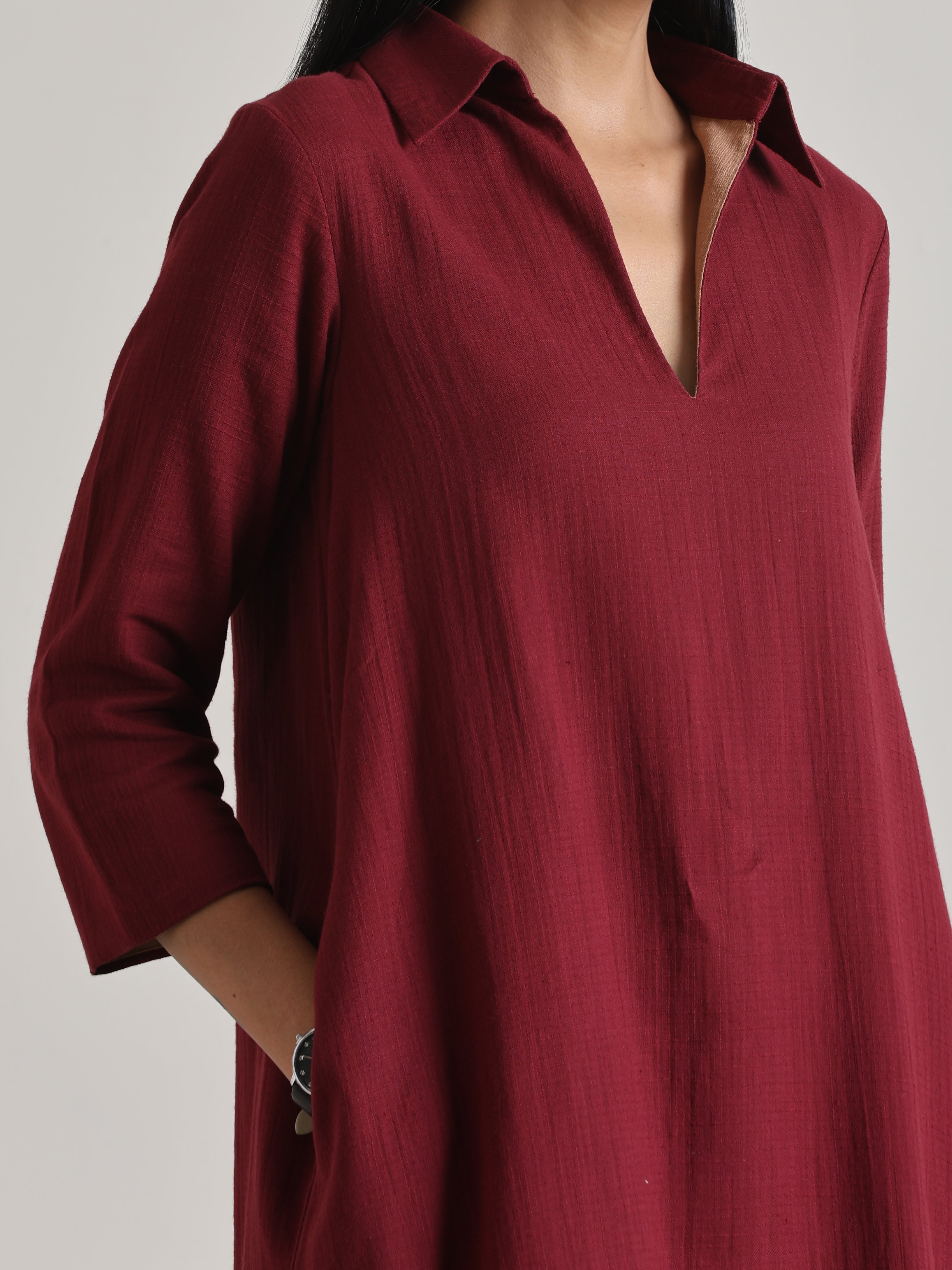 trueBrowns Maroon Short Collared Dress