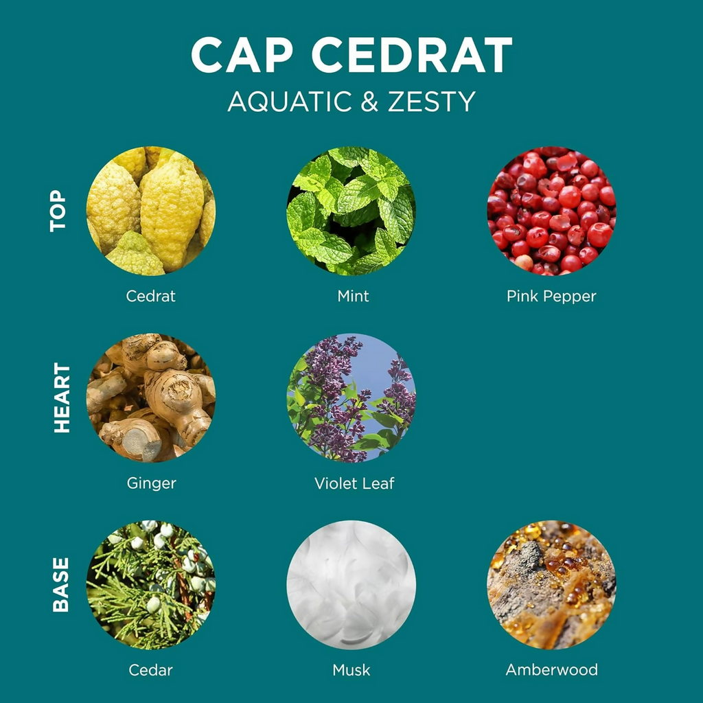 L'Occitane Cap Cedrat Shower Gel