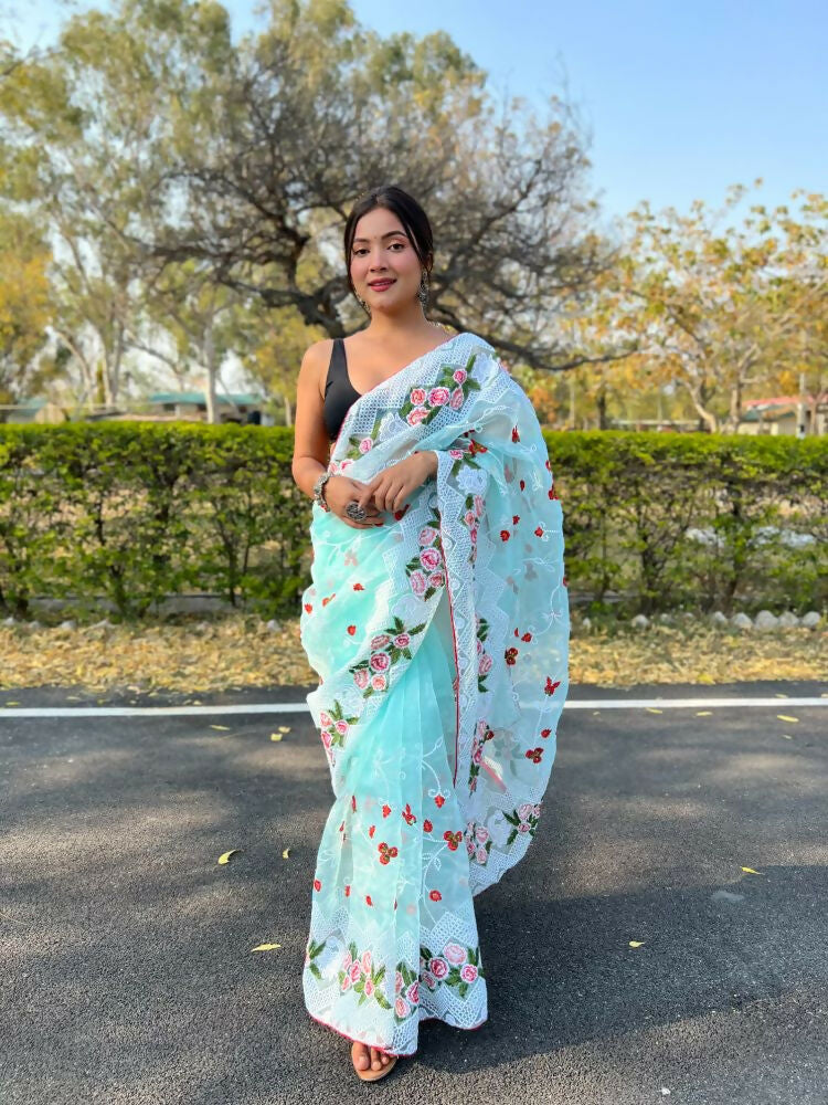 Vamsee Kamaljaal Sky Organza Saree