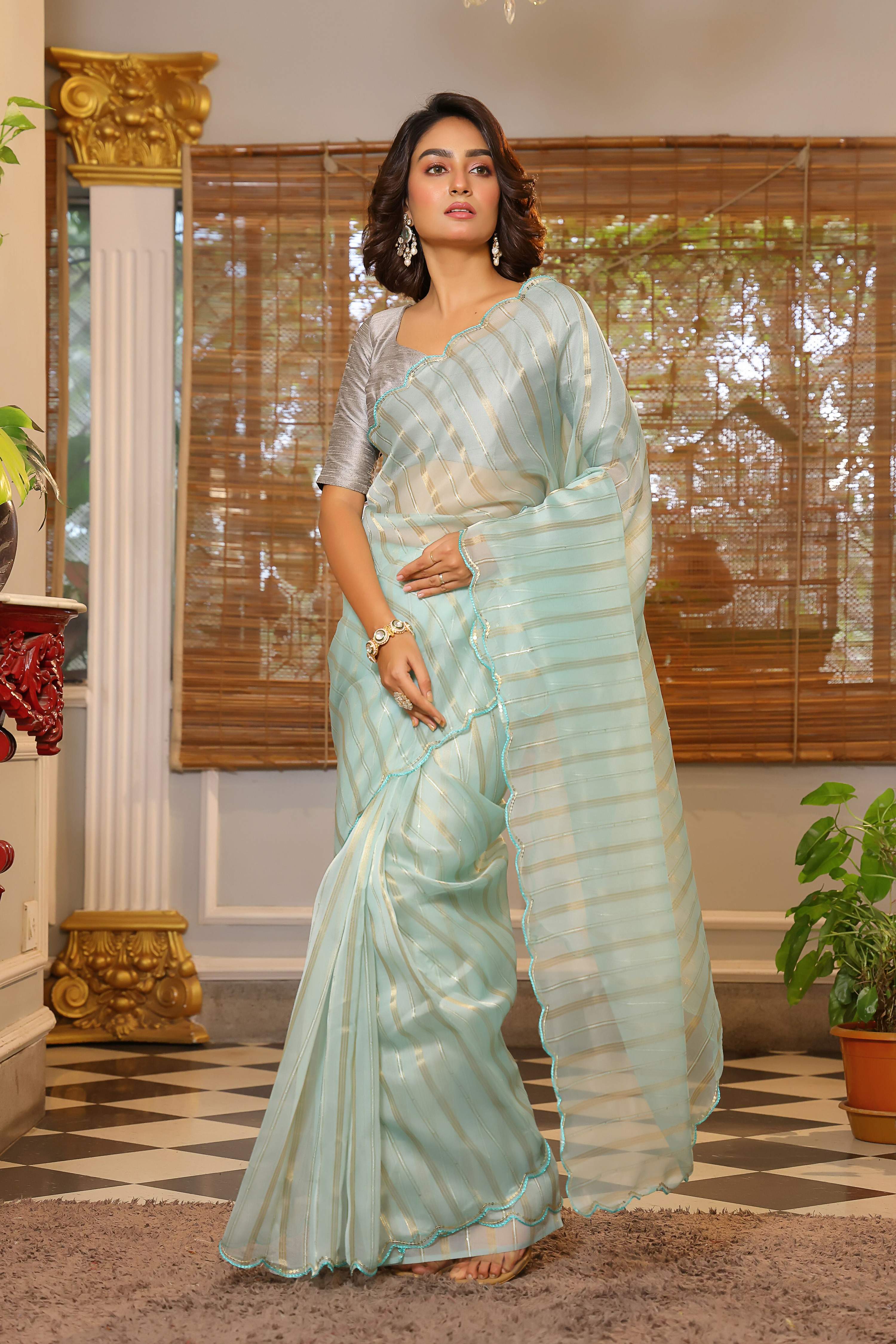 Vamsee Vijaytara Sky Organza Saree