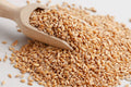Grammy's Whole Wheat