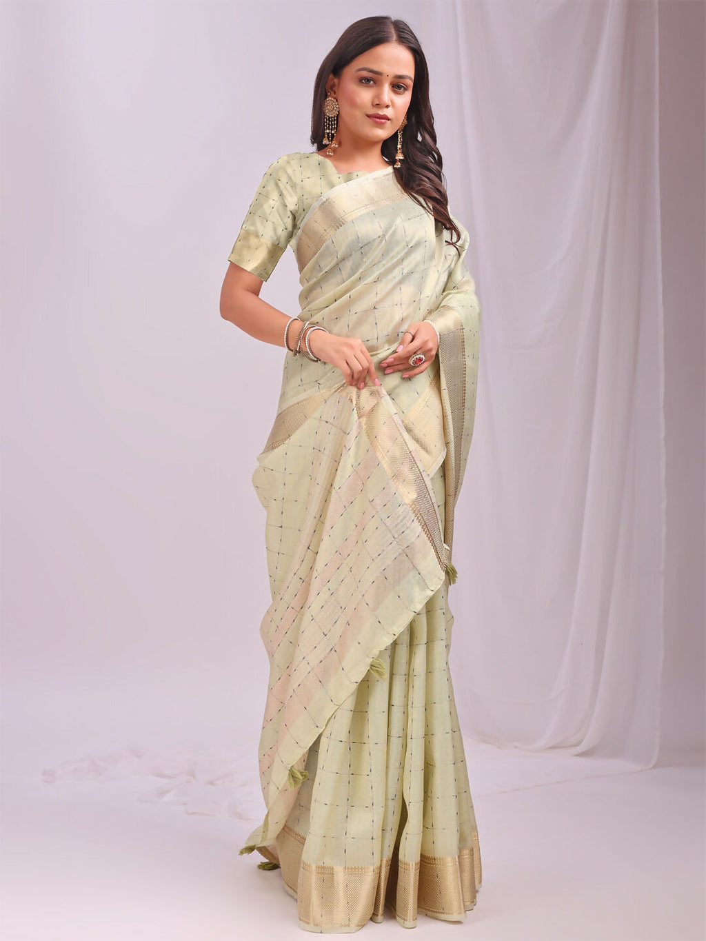 Shree Shyam Fashion Organza Light Green Saree