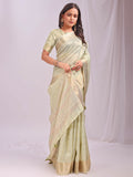 Shree Shyam Fashion Organza Light Green Saree