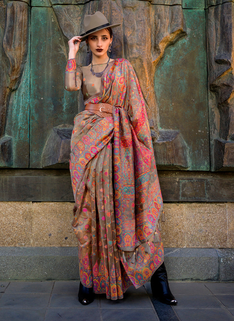 Monjolika Fashion Chikoo Color Kashmiri Organza Pashmina Silk Saree With Blouse