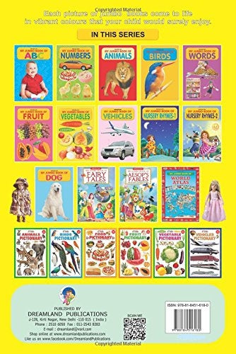 Dreamland My Jumbo Book Series (5 Titles)