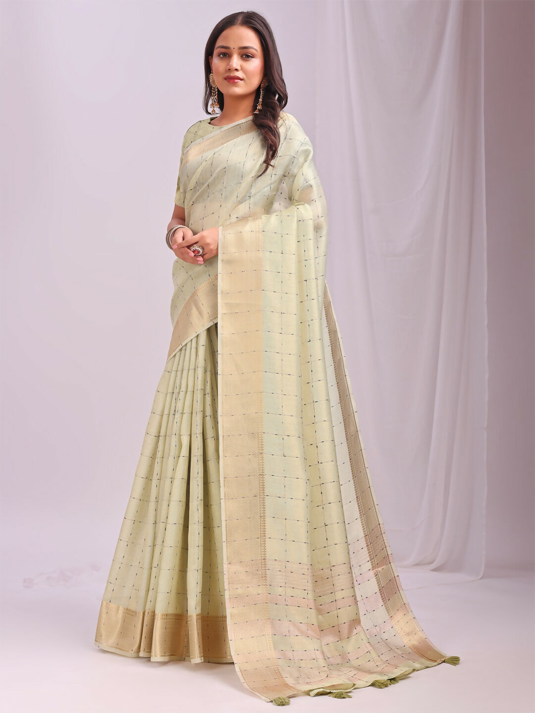 Shree Shyam Fashion Organza Light Green Saree