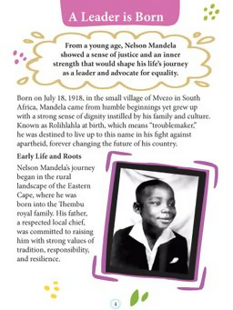 Dreamland Publications Nelson Mandela Icons of Inspiration Illustrated Biography For Kids