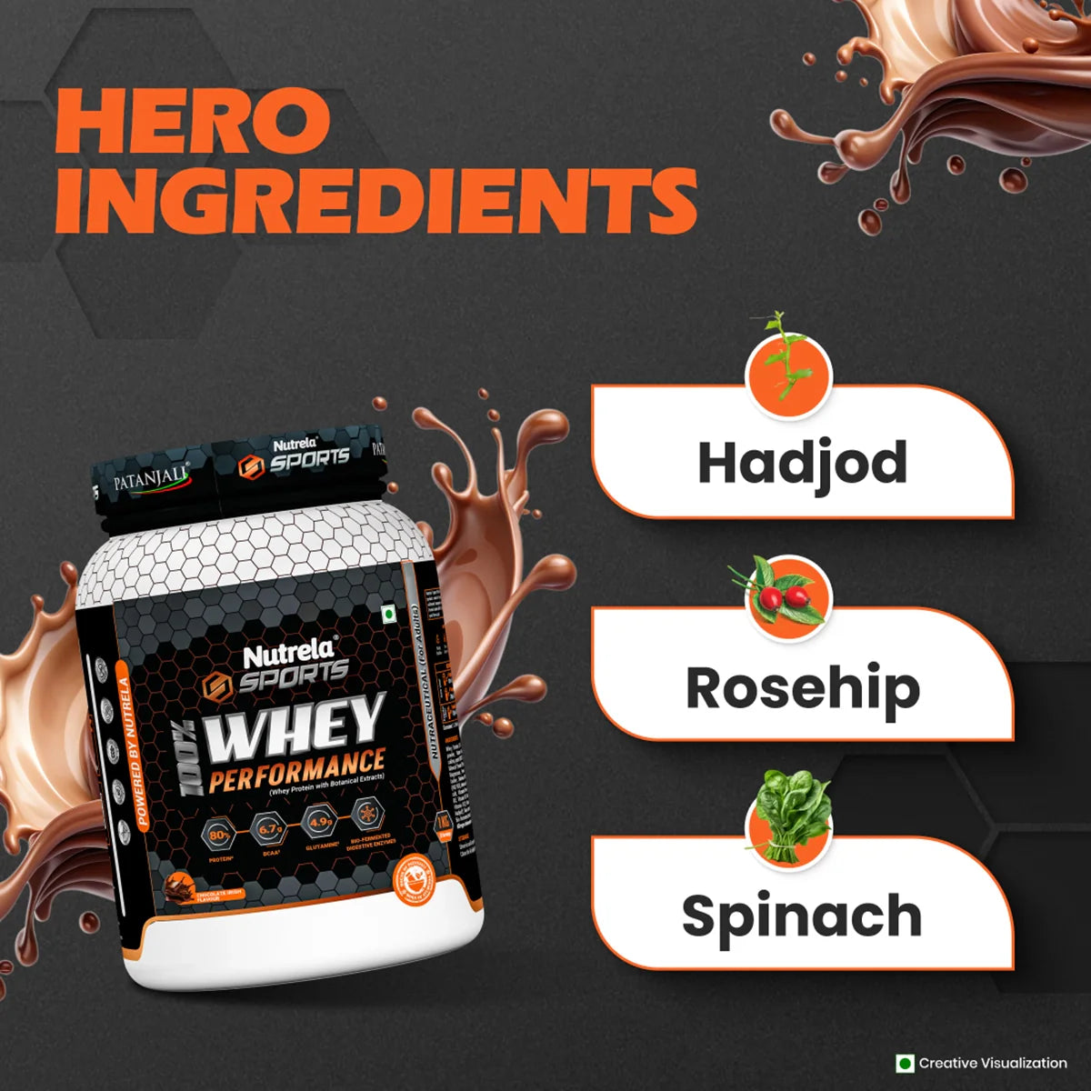 Patanjali Nutrela Sports Whey Performance (Choc-irish)