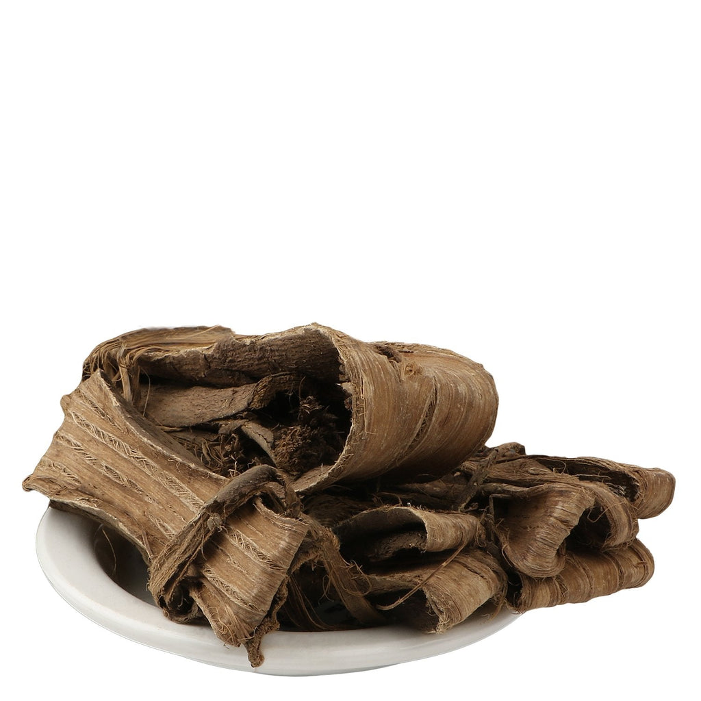 Yuvika Dandasa | Datoon - Juglans - Walnut Tree Peel