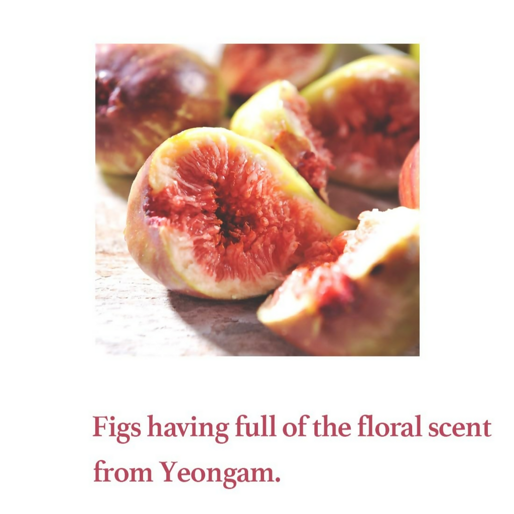 I'm From Fig Scrub Mask