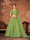 Wedding Designer Parrot Organza lehengha Choli - Anbazaar