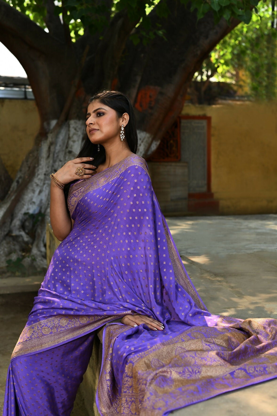 Joban Fashion Lavender Crepe Chiffon Pure Handloom Banarasi Silk Saree