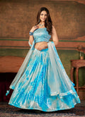 Wedding Designer Sky Nylon Georgette Readymade Lehenga Choli - Anbazaar