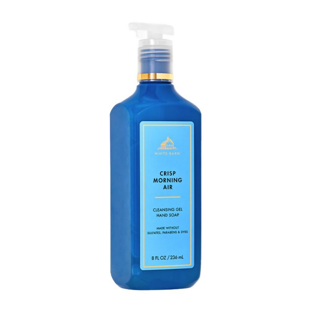 Bath & Body Works Crisp Morning Air Cleansing Gel Hand Soap