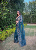 Vamsee Sky Organza Saree
