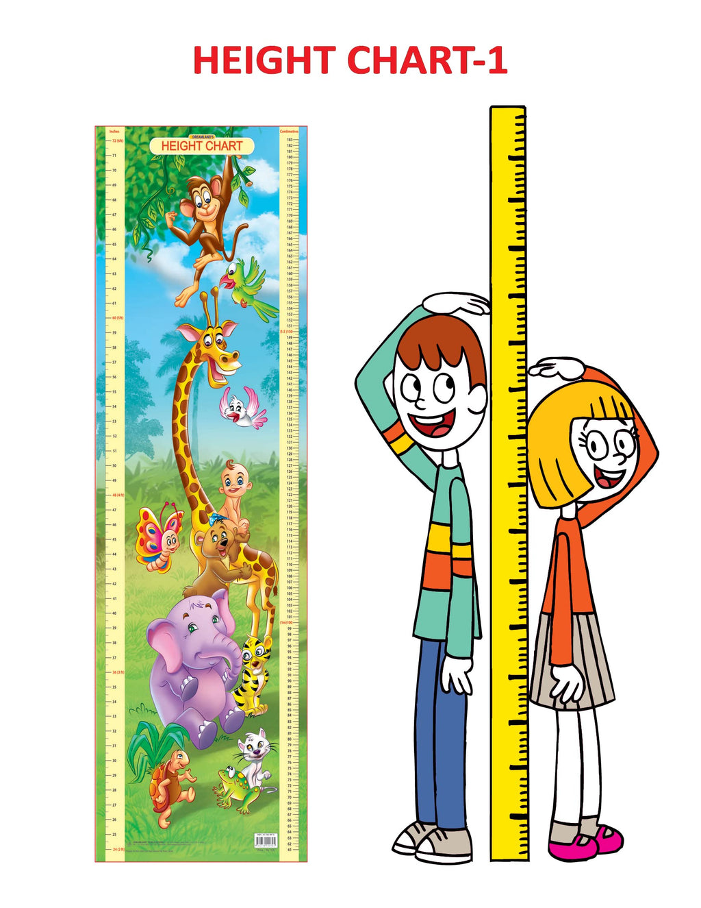 Dreamland Publications Educational Chart for Kids - Height Chart - 1