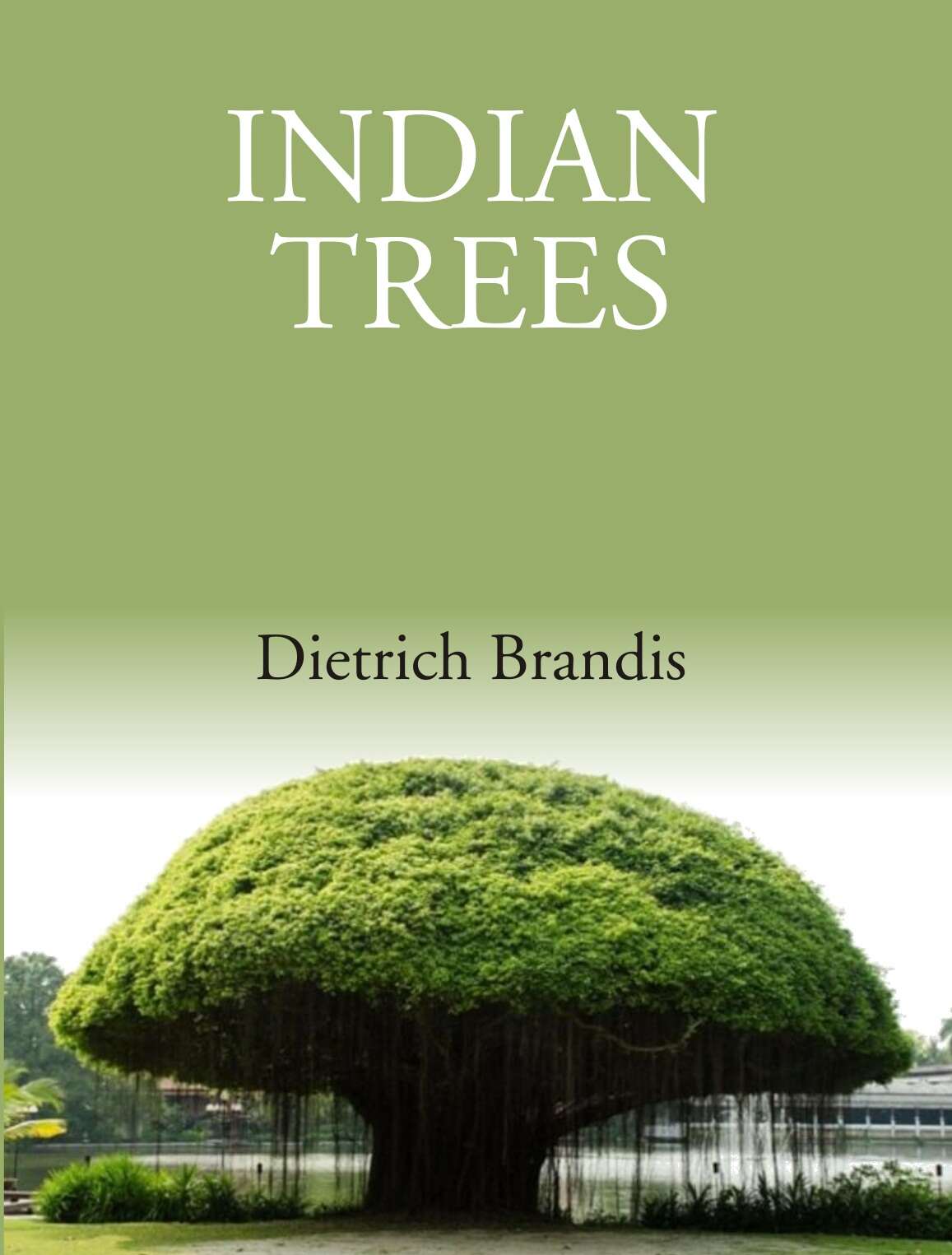 Indian Trees: An Account Of Trees, Shrubs, Woody Climbers, Bamboos And Palms Indigenous Or Commonly - Gyan Books