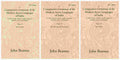 A Comparative Grammar Of The Modern Aryan Languages Of India: To Wit, Hindi, Panjabi, Sindhi, 3 Vols. Set - Gyan Books