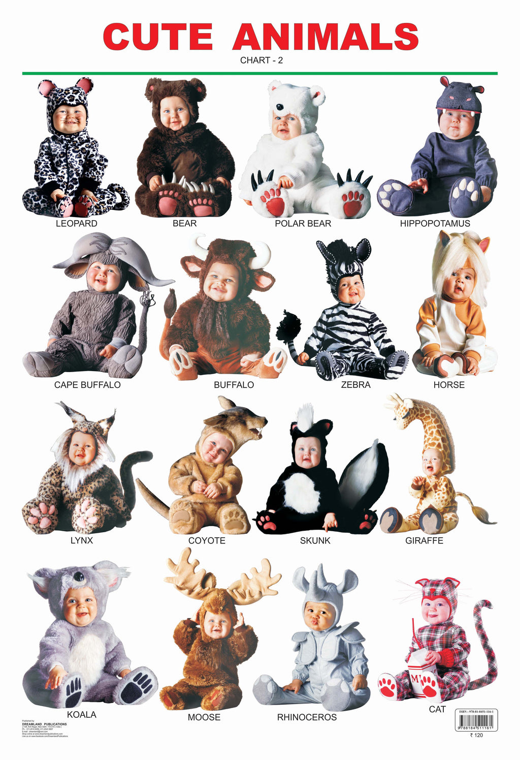 Dreamland Publications Educational Chart for Kids - Cute Animals - 2.