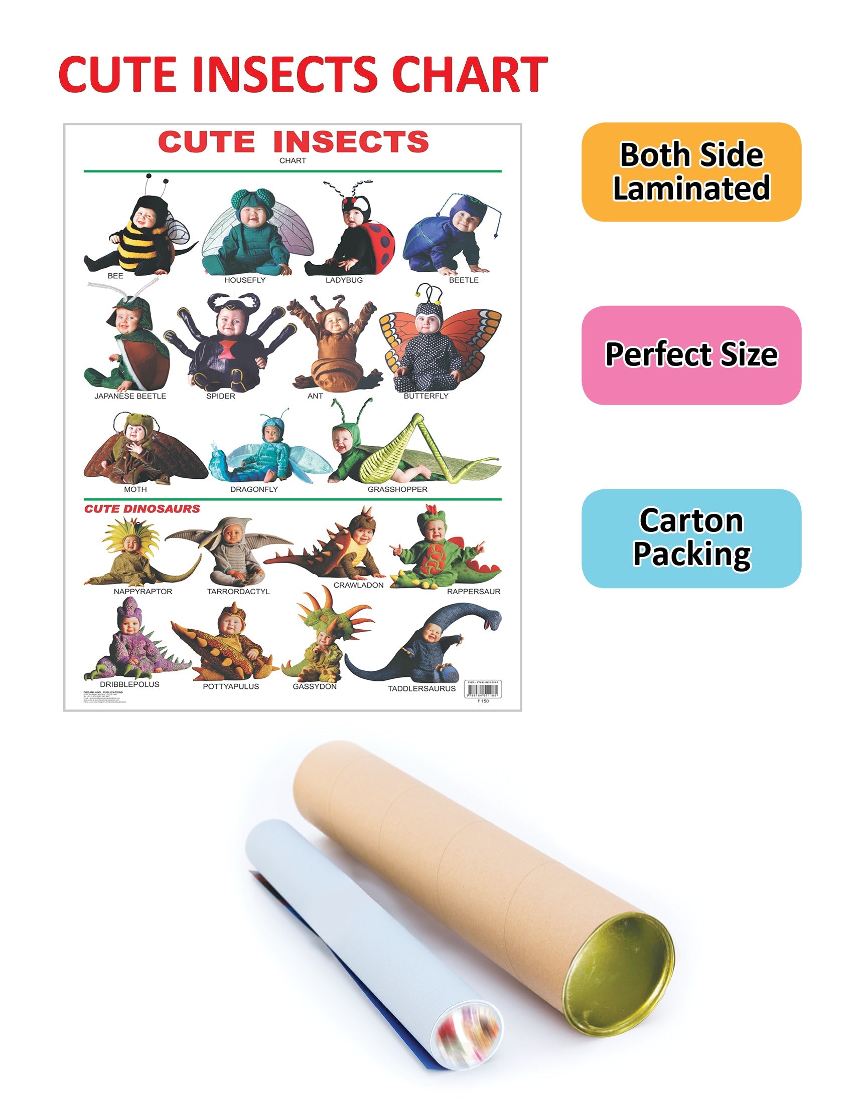 Dreamland Publications Cute Insects : Children Reference Educational Laminated Chart