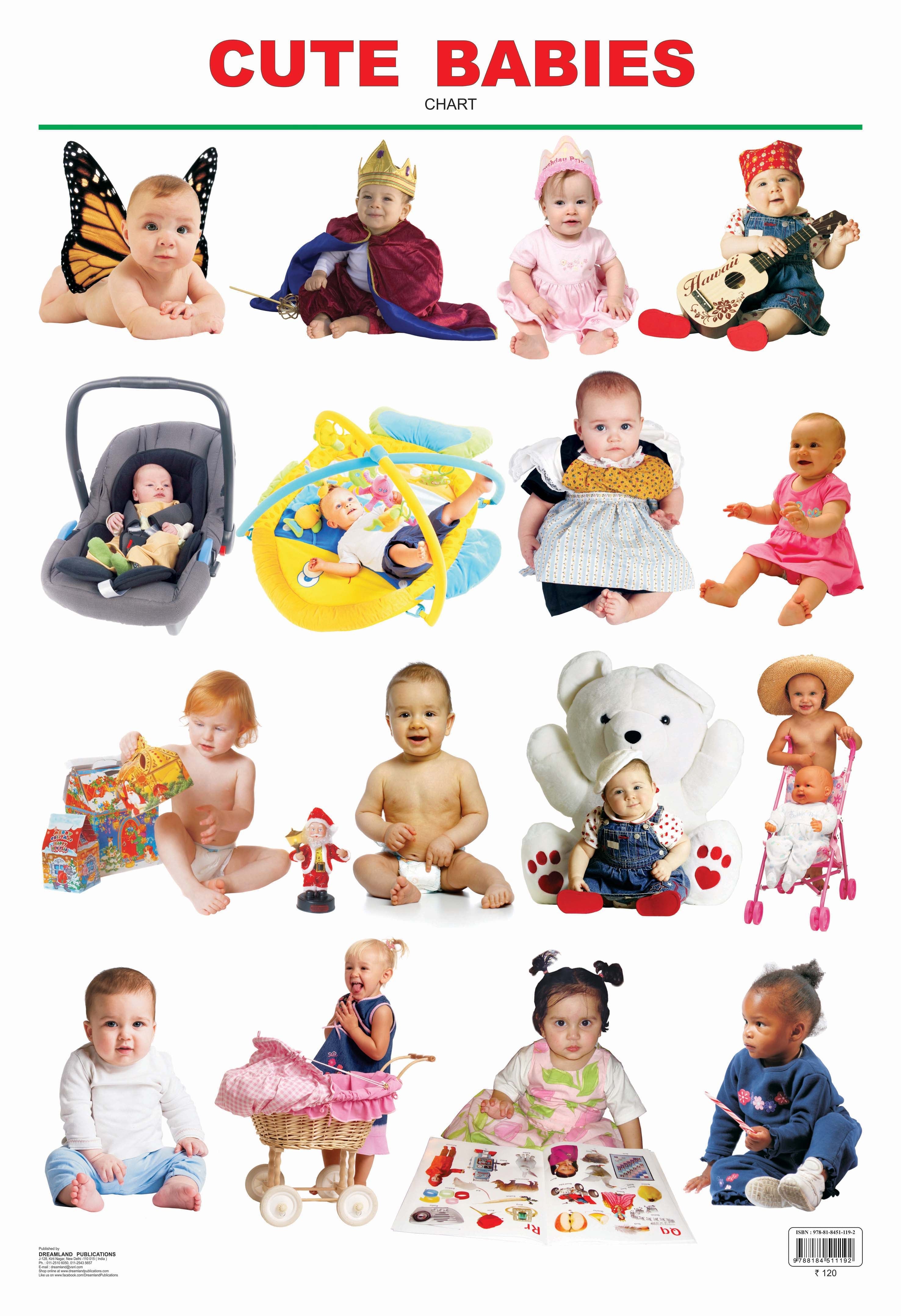 Dreamland Publications Educational Chart for Kids - Cute Babies