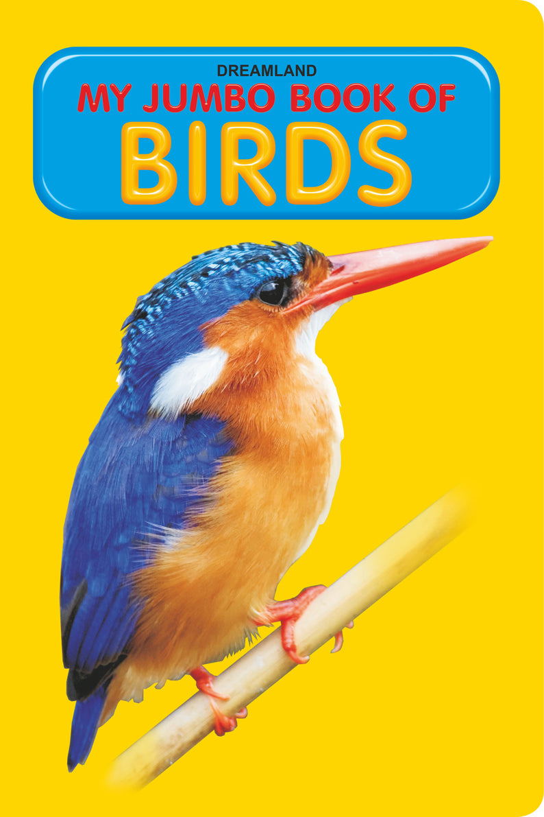Dreamland My Jumbo Book - BIRDS