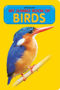 Dreamland My Jumbo Book - BIRDS