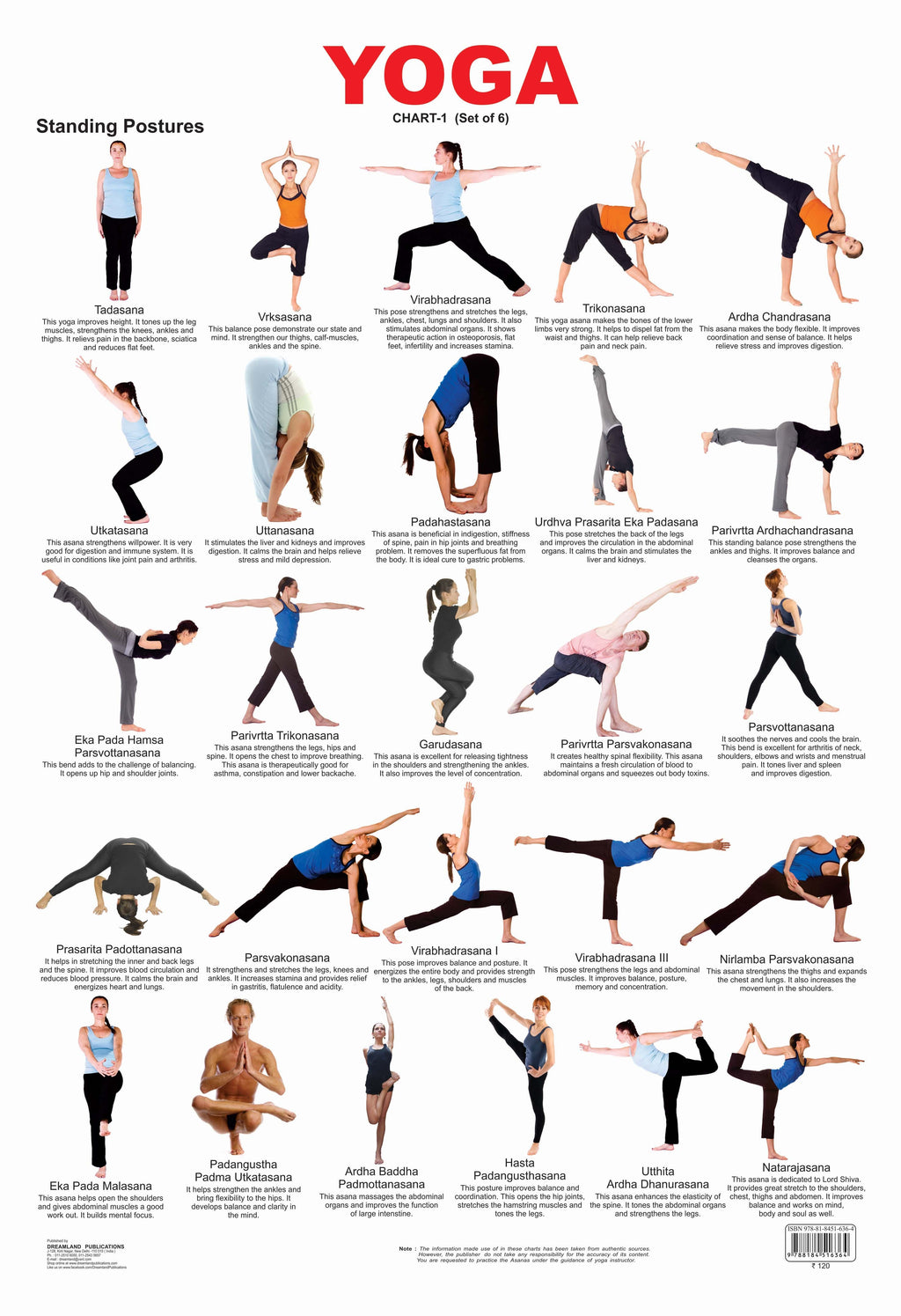 Dreamland Publications Educational Chart for Kids - Yoga Chart - 1