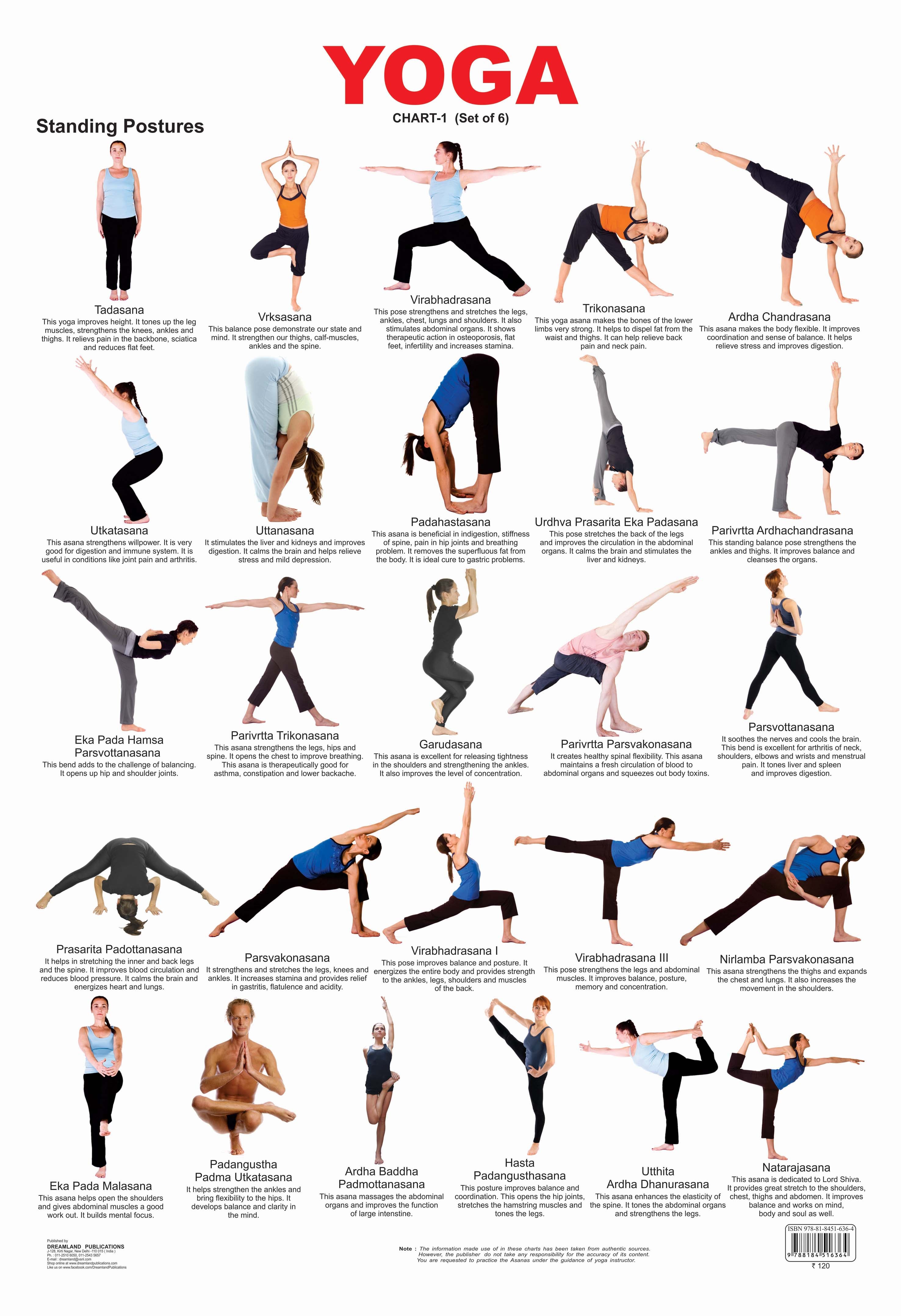Dreamland Publications Educational Chart for Kids - Yoga Chart - 1