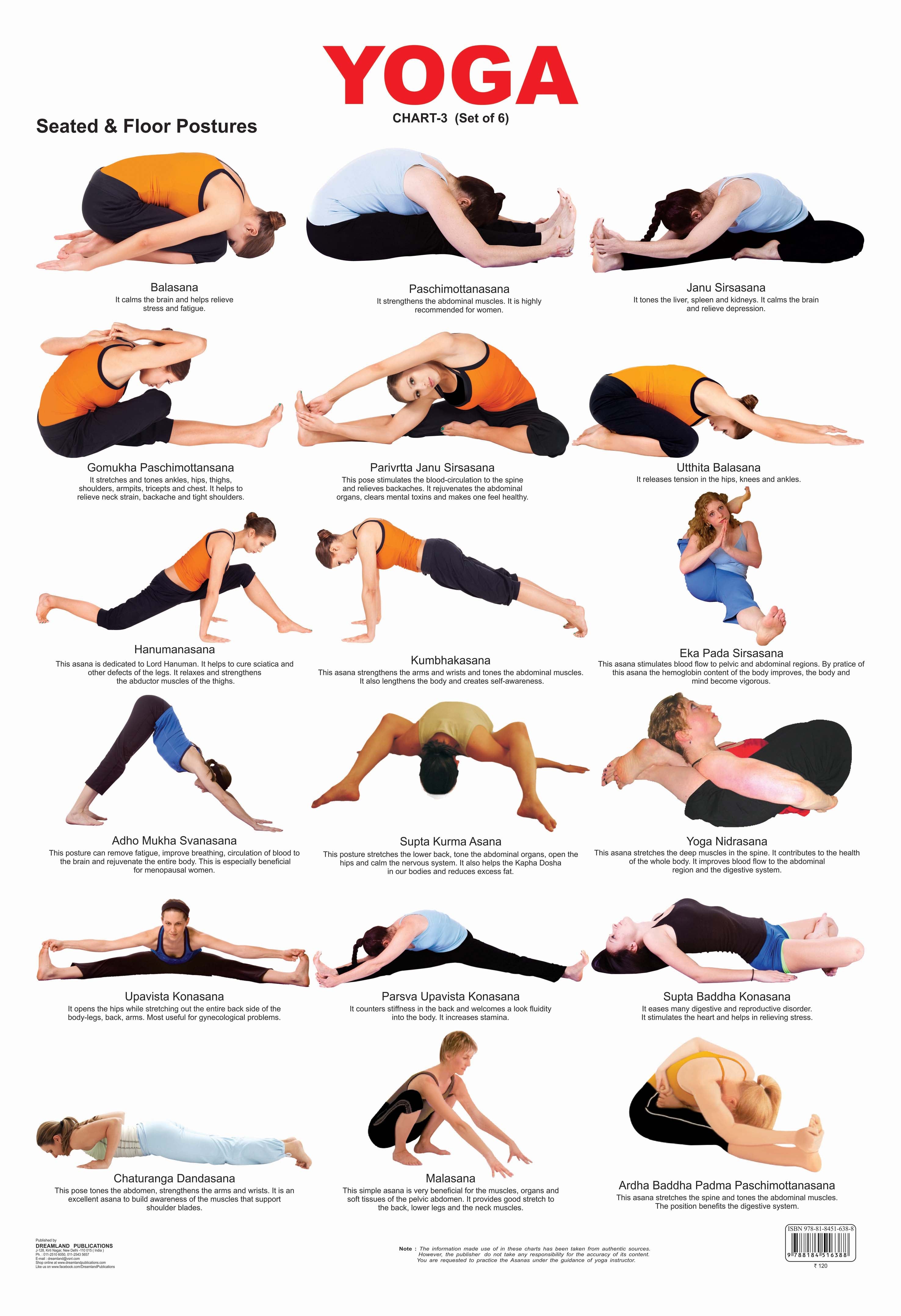 Dreamland Publications Educational Chart for Kids - Yoga Chart - 3
