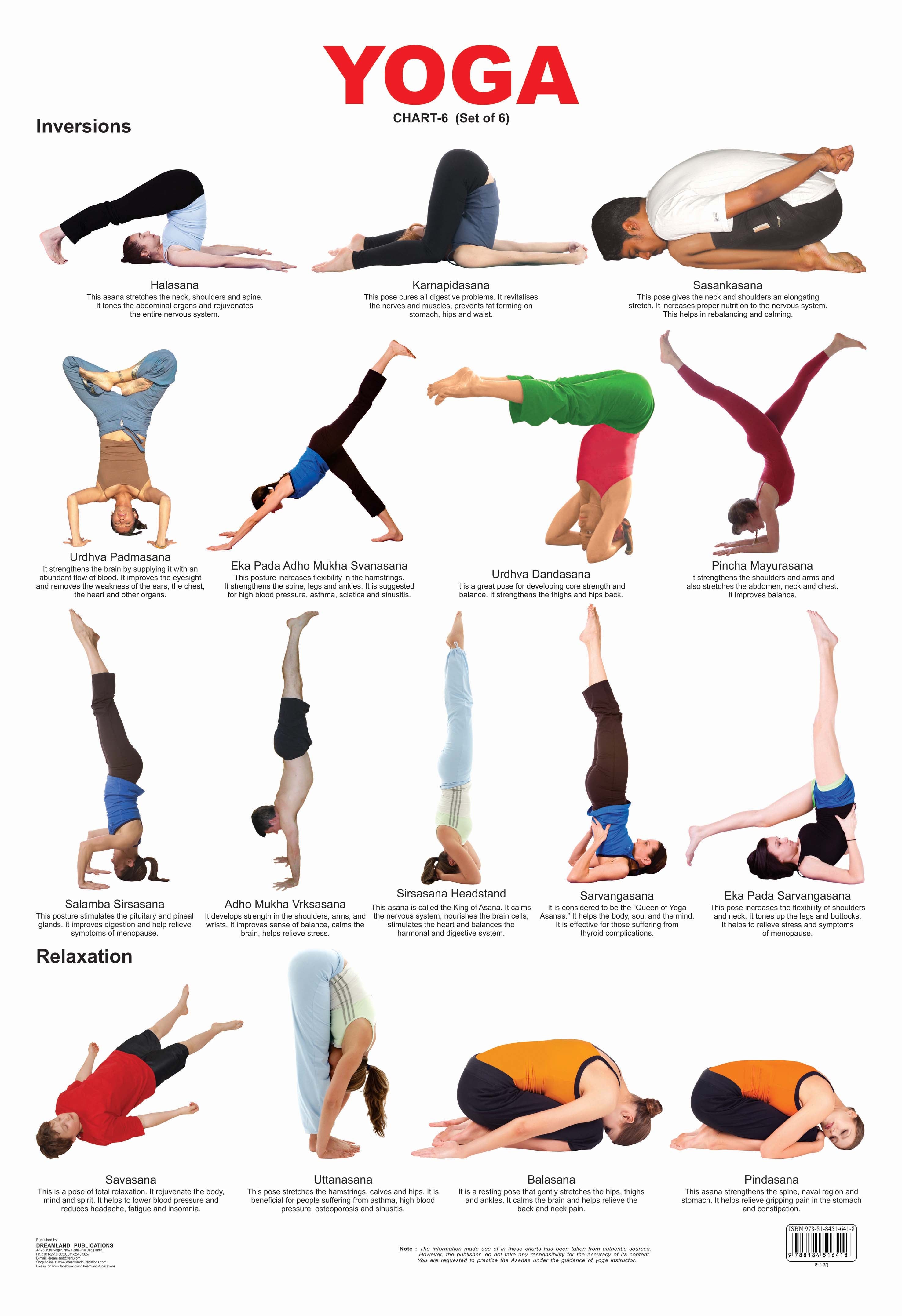 Dreamland Publications Educational Chart for Kids - Yoga Chart - 6
