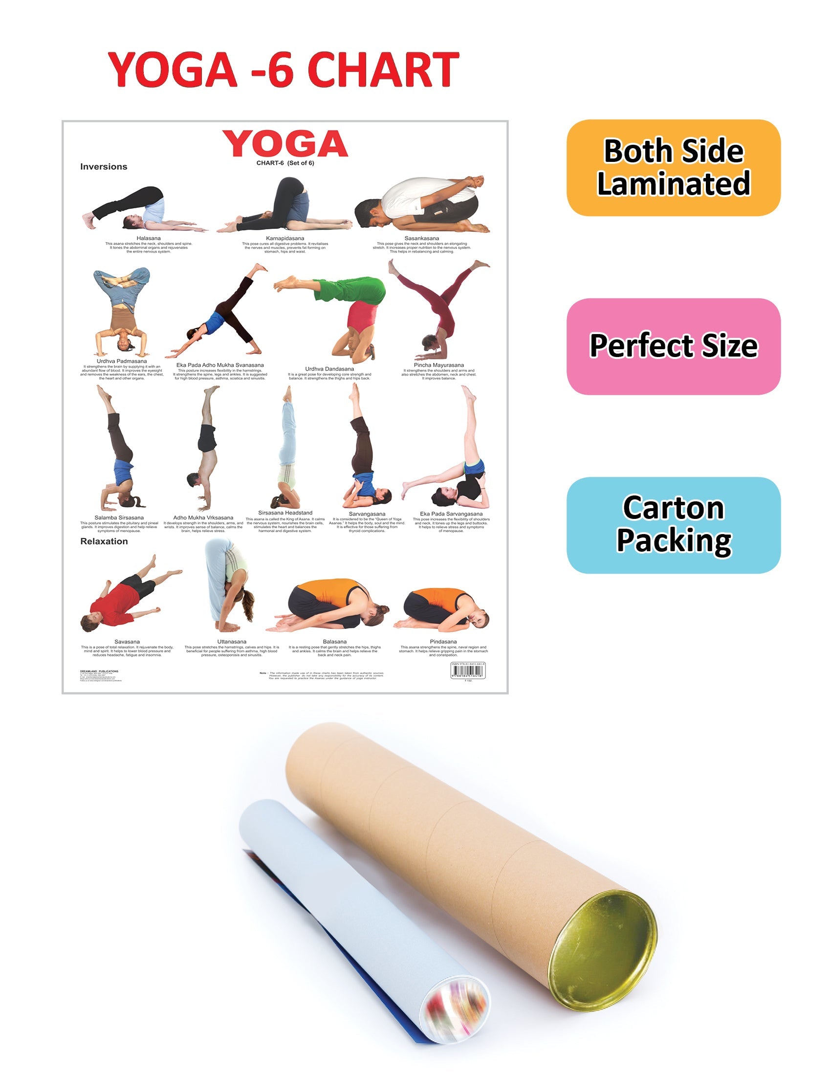 Dreamland Publications Educational Chart for Kids - Yoga Chart - 6