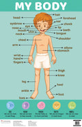 My Body : Charts - Om Books