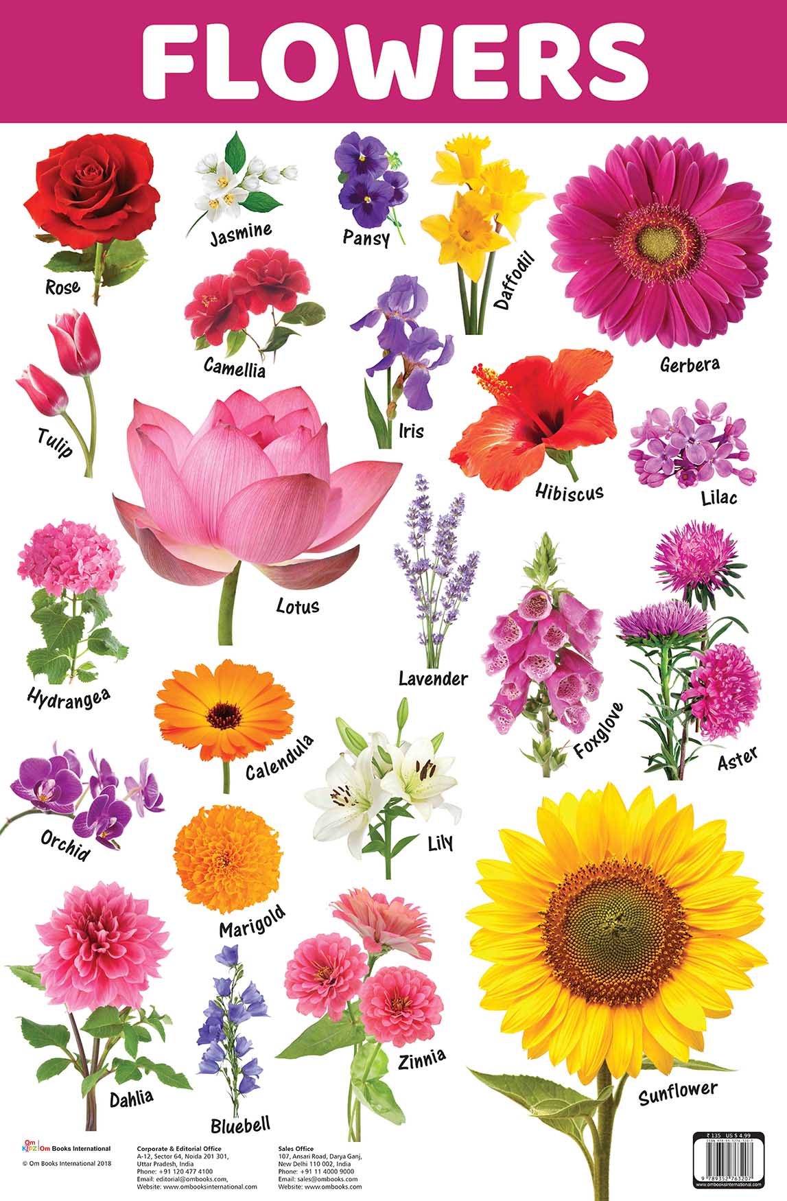 Flowers : Charts - Om Books