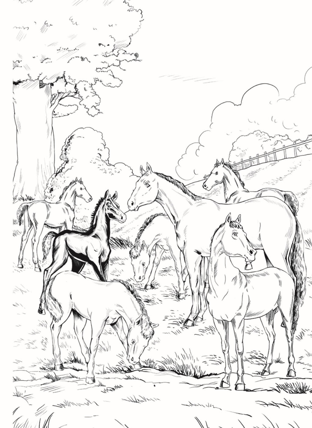 Dreamland Publications Black Beauty - Illustrated Abridged Classics for Children with Practice Questions