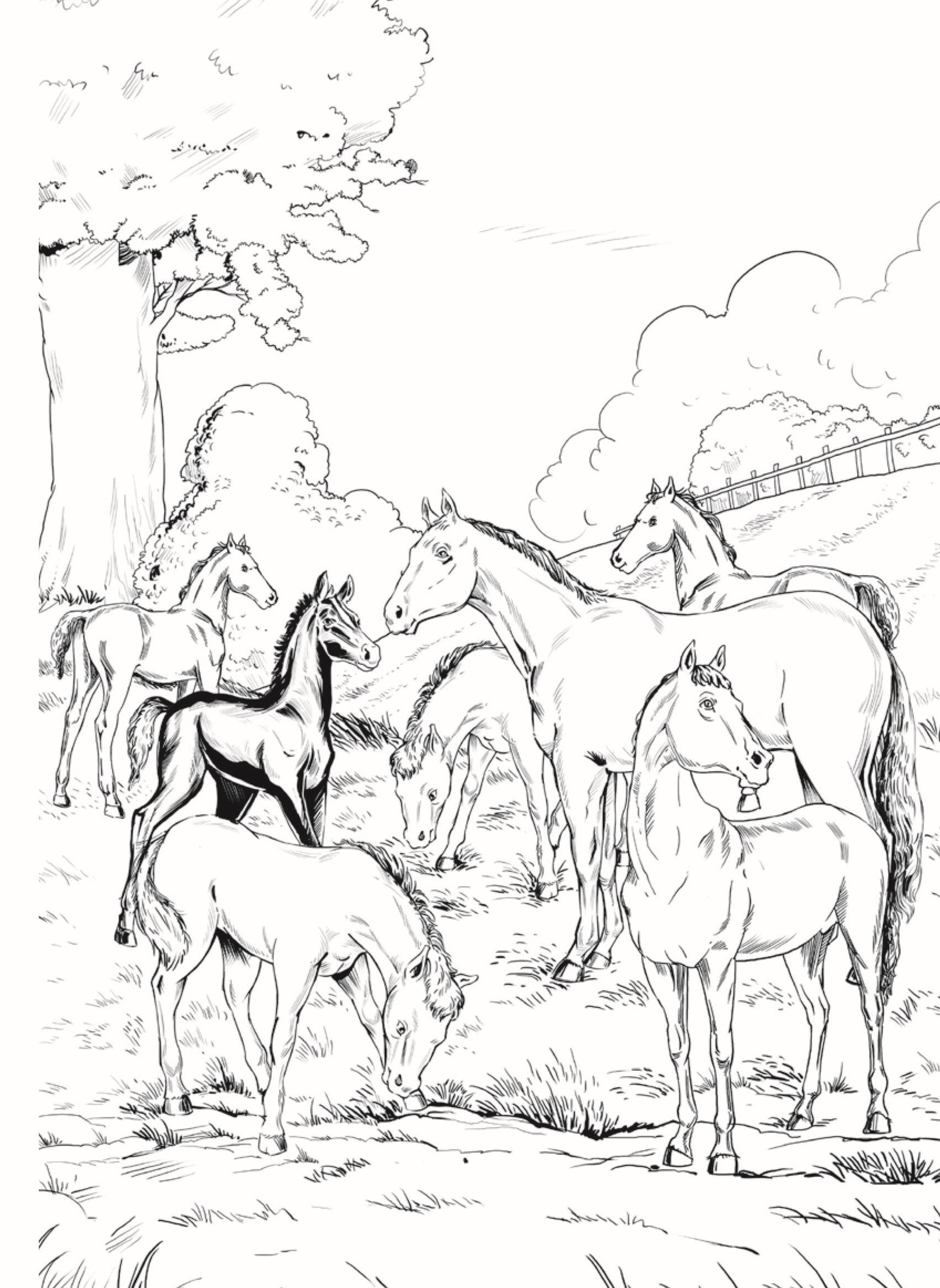 Dreamland Publications Black Beauty - Illustrated Abridged Classics for Children with Practice Questions